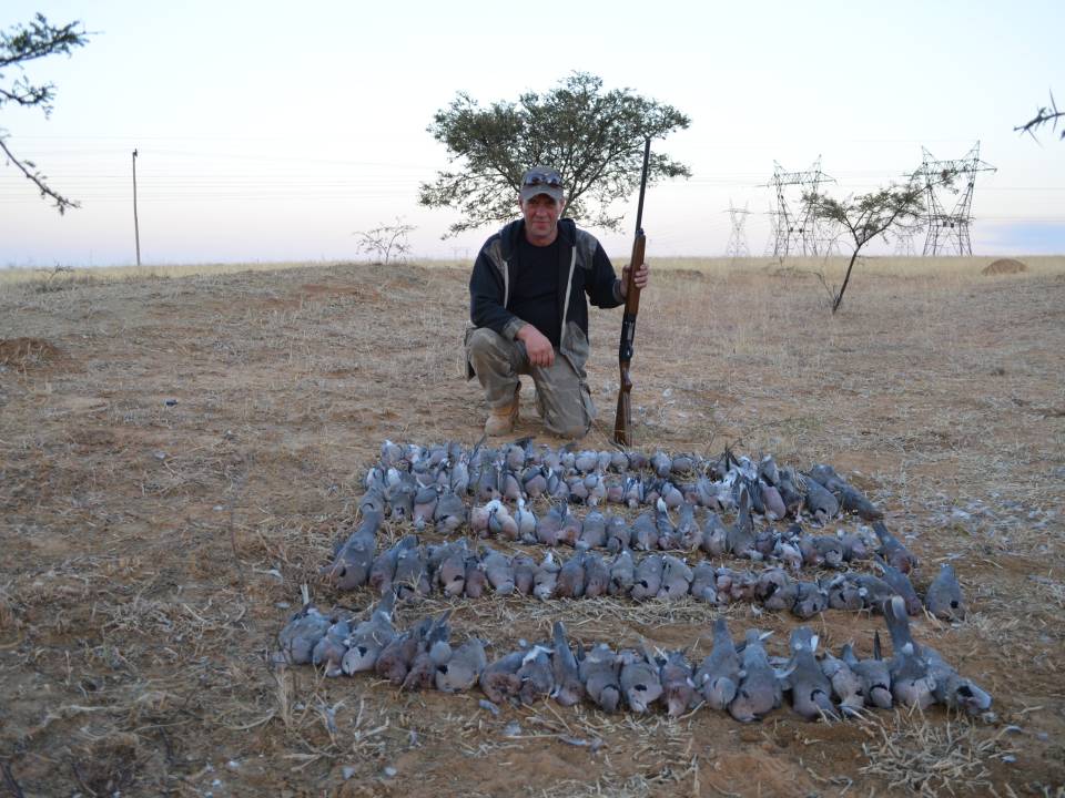 Dove Hunting Safaris South Africa.jpg
